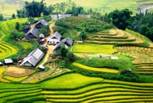 HANOI - SAPA 2 DAYS 1 NIGHT BY BUS