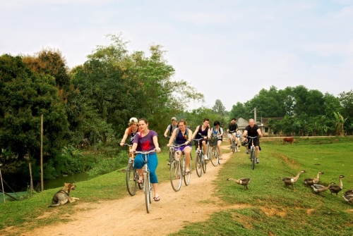 Ninh Binh Ecotour: Hanoi - Hoa Lu Ancient Capital - Tam Coc - Bich Dong Pagoda (1 Day)